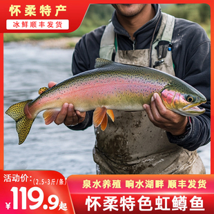 怀柔虹鳟金鳟鱼新鲜淡水现捞现杀冰鲜直发1条整鱼2.5-3斤可净膛