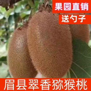 陕西眉县翠香猕猴桃新鲜时令现摘绿心奇异果孕妇水果特大果包邮