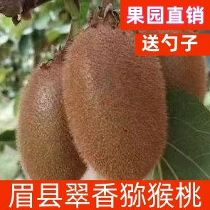 陕西眉县翠香猕猴桃新鲜时令现摘绿心奇异果孕妇水果特大果包邮