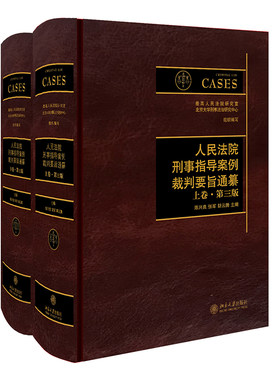 法院刑事指导案例裁判要旨通纂