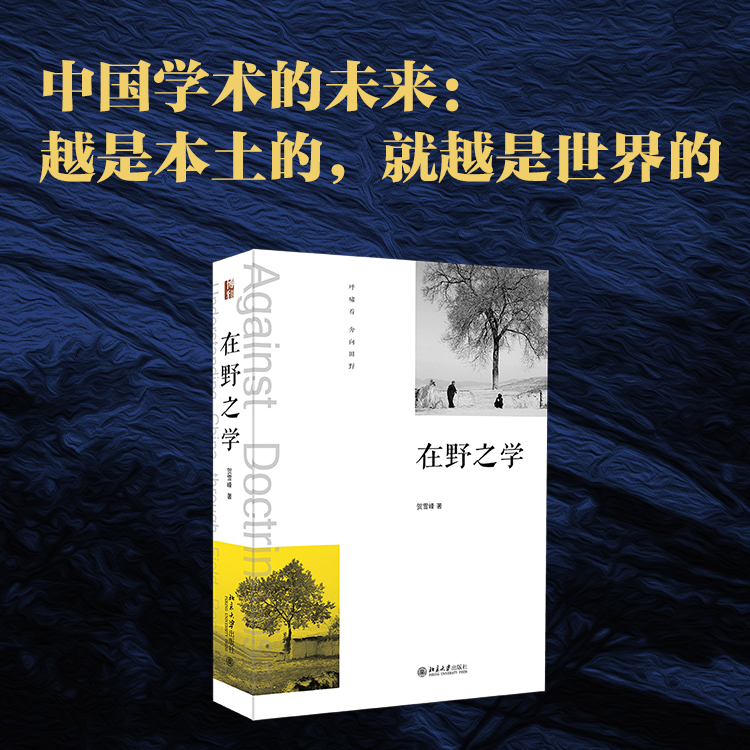 在野之学雪峰本土方法论研究著作