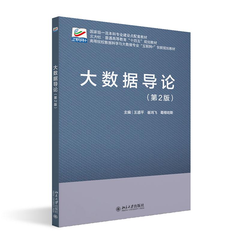 大数据导论 第2版 王道平 大数据技术与应用 大数据的采集存储处理分析 计算机科学与技术 软件工程课程教材 北京大学旗舰店正版