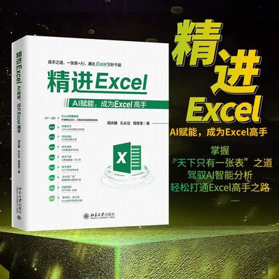 精进Excel：AI赋能，成为Excel高手 周庆麟 北京大学旗舰店正版