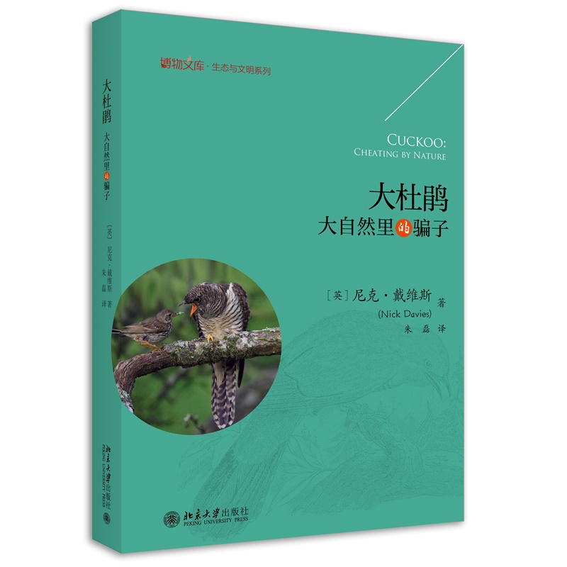 大杜鹃大自然里的骗子