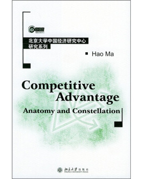 竞争优势：解剖与集合 Competitive Advantage:Anatomy 北京大学经济研究中心研究系列 北京大学旗舰店正版