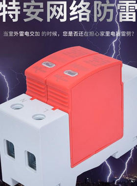 电涌保护器 防雷 单相 220V家用2P 60KA 浪涌保护器 避雷器 打雷