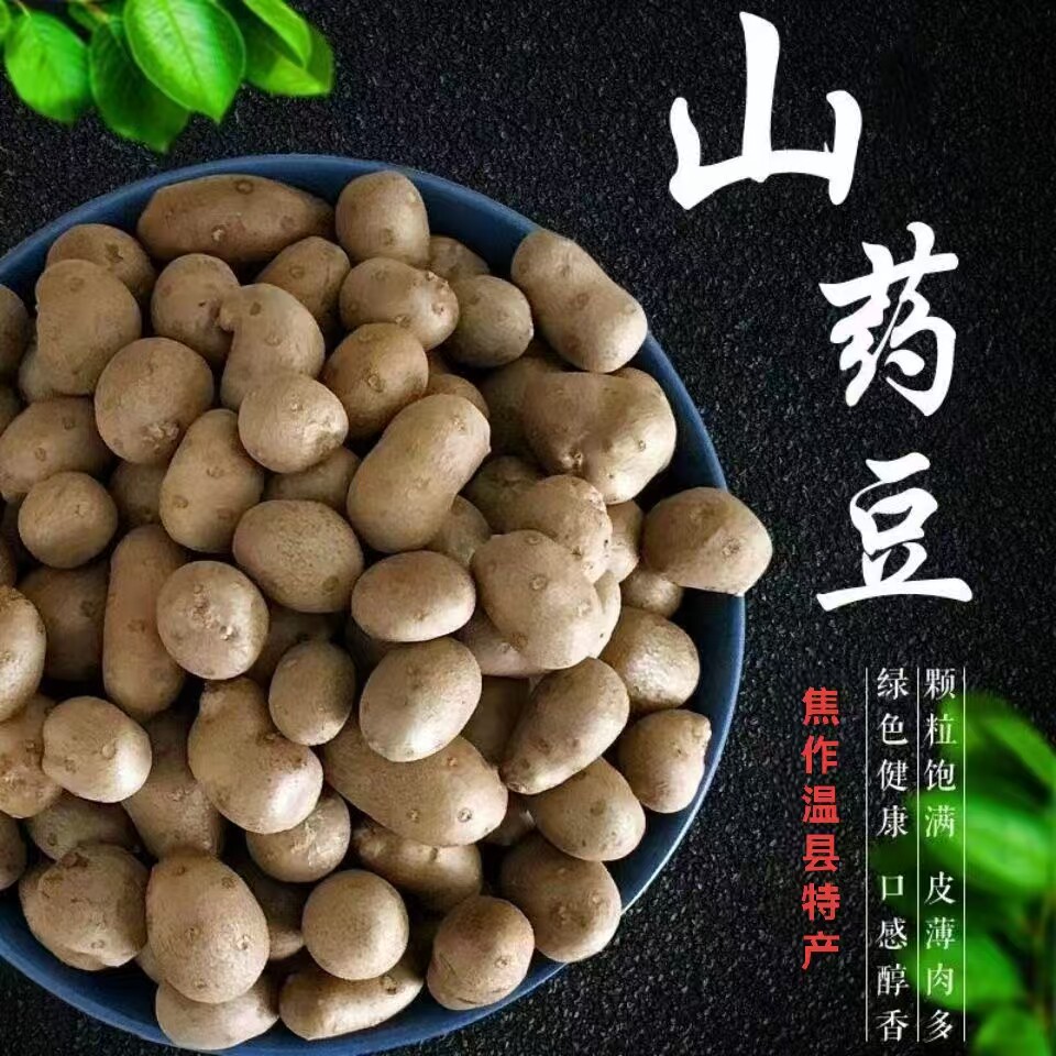 正宗山药豆铁棍山药豆河南焦作淮山豆山药豆批发新鲜山药豆