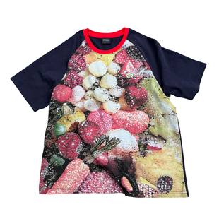 ARROW UP 26SS新款水果满印插肩袖拼色T恤 RAGLAN SLEEVE T-SHIRT