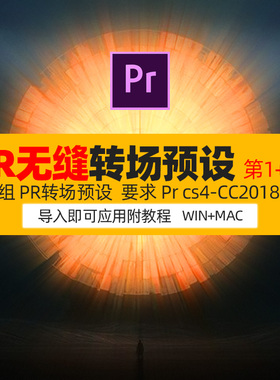 CS4-CC2018winmac插件中文版1+2季PR无缝转场预设炫酷特效转场