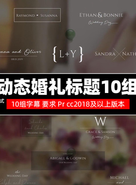 Pr字幕模板Wedding Titles 10组动态婚礼爱情故事视频标题win/mac