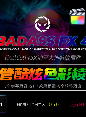 FCPX油管大神插件缩放克隆分屏棱镜闪烁冻结效果特效BadAss FX4