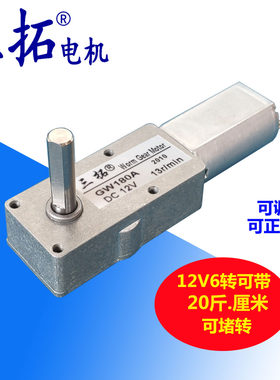 三拓蜗轮门锁超薄有刷减速电机