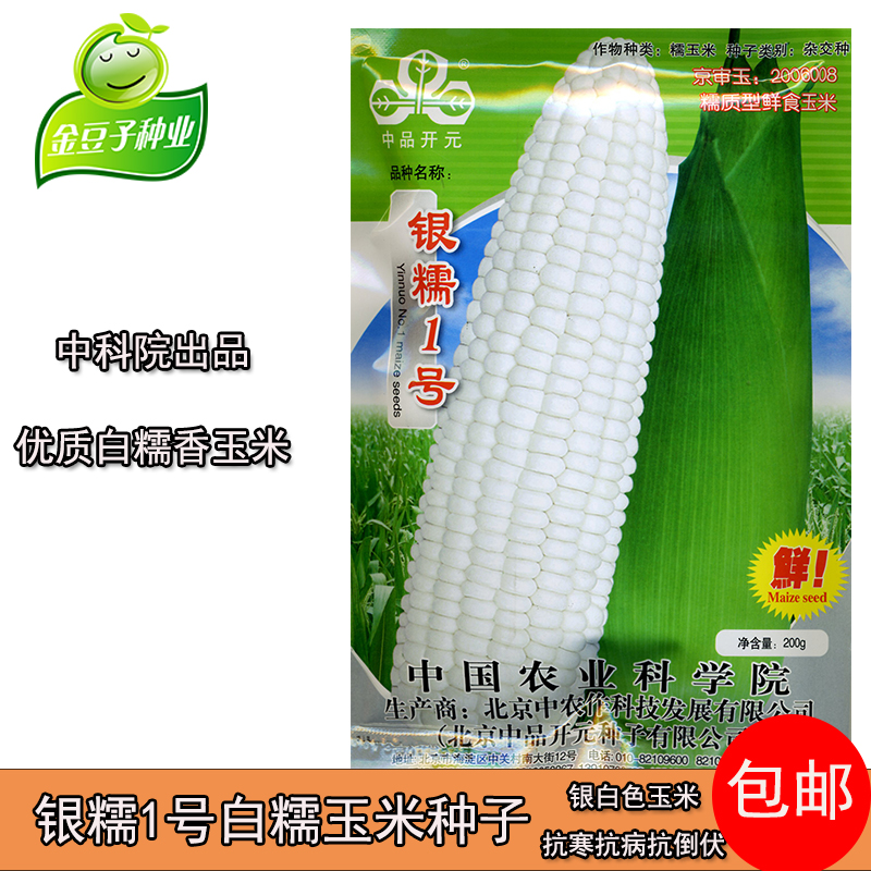 银糯1号玉米种子农科院白糯鲜食玉米甜加糯高产抗病白色玉米包邮
