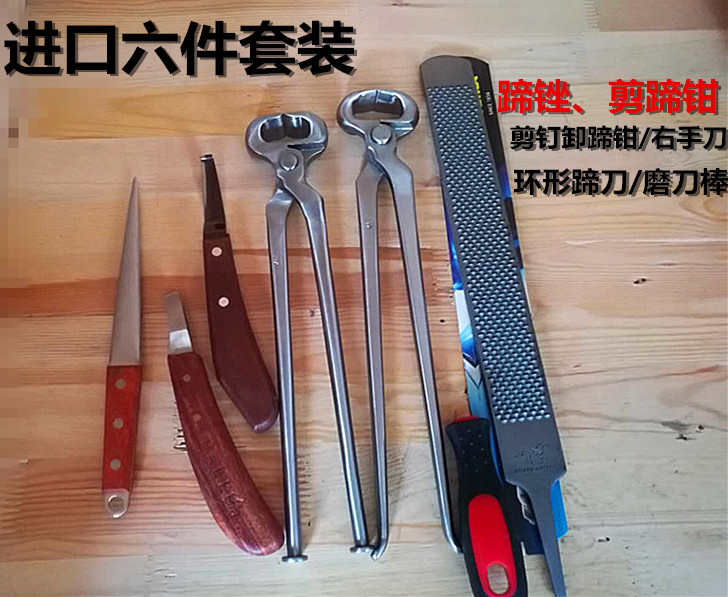 包邮进口套装压钉钳 环形右手刀钉钉掌马蹄钳马房马具 修蹄工具
