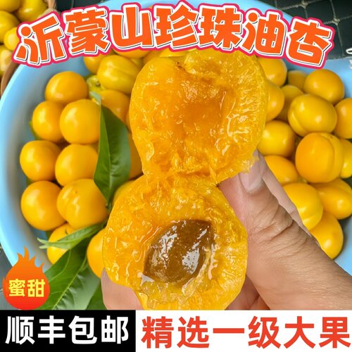 小白杏纯甜新鲜水果山东珍珠油杏