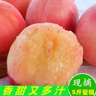 桃子新鲜水蜜桃蒙阴软甜桃子孕妇时令水果当季现摘5斤包邮软毛桃