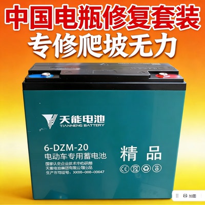 铅酸电池蓄电池维修复技术视频教程电瓶修理电动车自学习