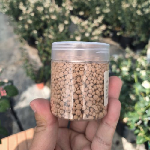 家庭园艺植物盆栽专用肥有机肥