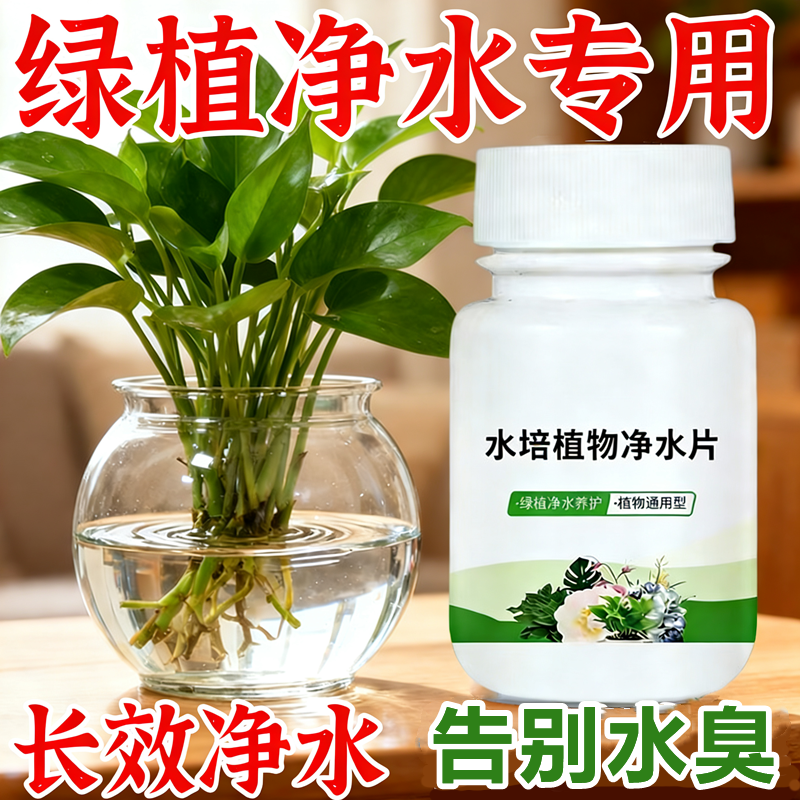 水培植物净水片家庭园艺长效净水碗莲睡莲告别水臭通用型净化水质,鲜花速递/花卉仿真/绿植园艺,家庭园艺肥料,淘宝优惠券,粉丝福利购,淘宝优惠卷