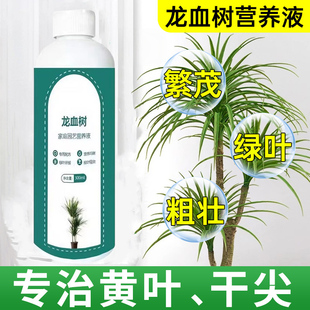龙血树专用营养液肥料龙须树复合肥促生长治疗叶子发黄烂根通用肥