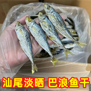 汕尾淡晒照灯巴浪鱼干碣石镇巴浪脯新晒黄尾巴朗鱼可即食淡小鱼干