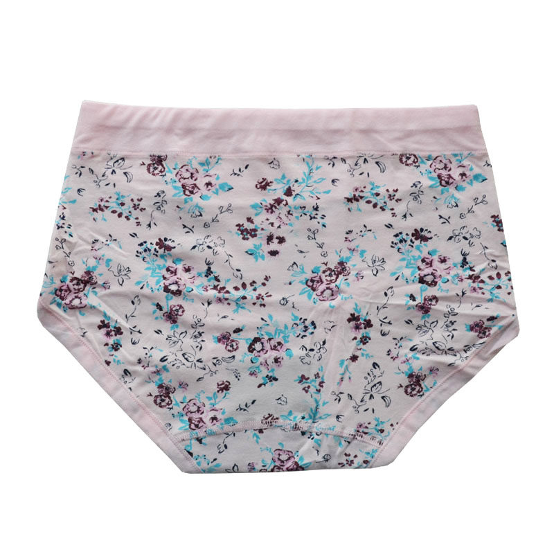 Slip Moyen-âge en coton - Ref 645613 Image 3