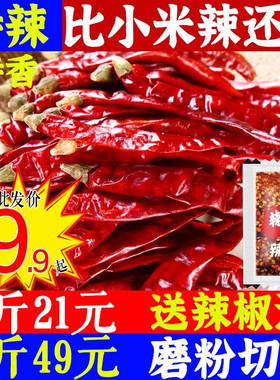 超辣辣椒印度魔鬼辣椒500克香辣特辣干辣椒可磨辣椒粉面切辣椒段