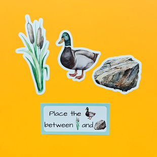 英语方位介词桌游英文语法教具课堂游戏教师教学趣味教学小学幼儿