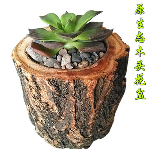 多肉植物树桩花盆价格 多肉植物树桩花盆图片 星期三