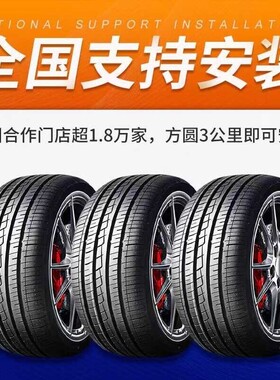2019款蒙迪欧EcoBoost180智控时尚专用钢丝汽车轮胎四季通用轮胎