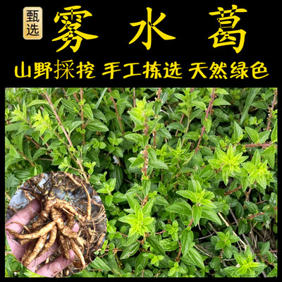 新鲜现采雾水葛潮汕青草堂萝薯头