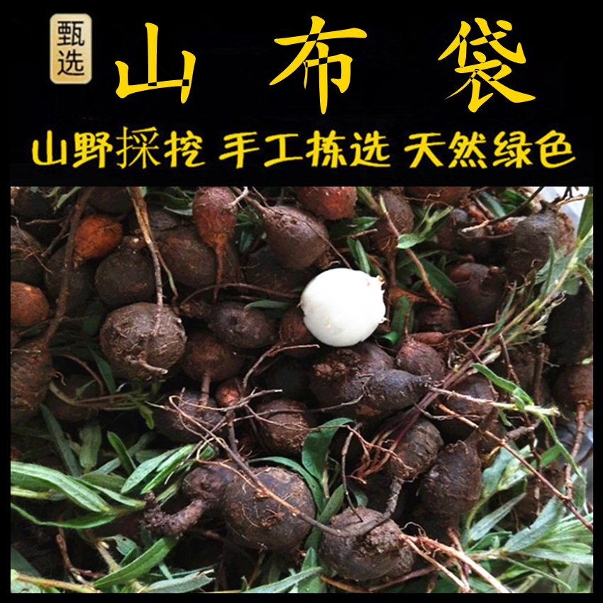 鸡头薯 新鲜现采 潮汕青草药山布袋猪肝吊胆猪仔笠雀脷珠山狗浪佛