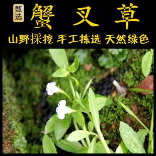 新鲜现采潮汕青草田老田荖田槟毛蟹叉草田槟榔水虾草双须蜈蚣田佬