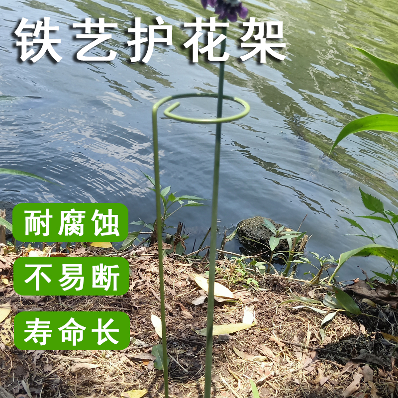 植物固定防倒伏花架子铁艺支撑藤架园艺月季爬藤架绣球撑杆花支架