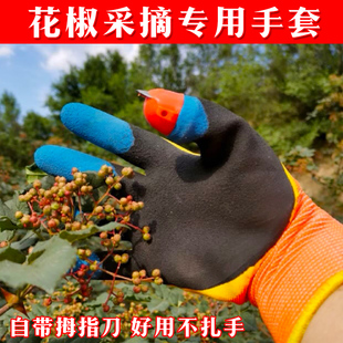 折花椒工具掐花椒农用拇指刀手套 摘花椒专用神器专用手套摘椒