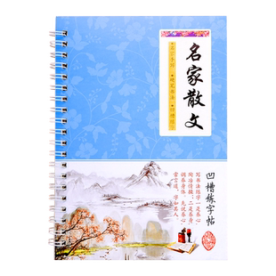 儿童练字帖成人行书行楷书速成初高中大学生漂亮男女生硬笔钢笔反复使用神器成年本板初学者硬笔字帖包邮