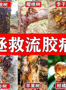 桃树流胶病专用杏子树穿孔病根腐药烂胶克杀果树流胶净农用菌肥料