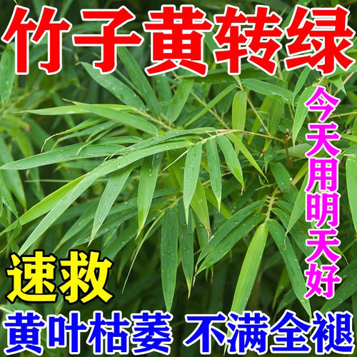 竹子专用营养液竹子专用肥料急救叶子发黄烂根药竹子黄叶药营养液