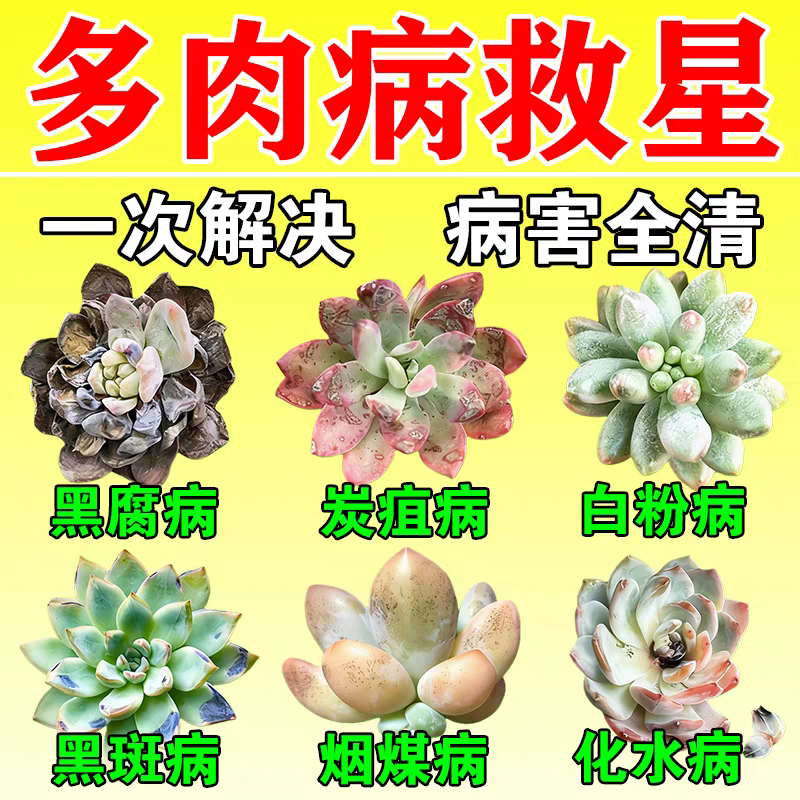 多肉白粉黑斑病专用杀菌植物通用增肥营养液肥料专用爆芽素营养液,鲜花速递/花卉仿真/绿植园艺,家庭园艺肥料,淘宝优惠券,粉丝福利购,淘宝优惠卷