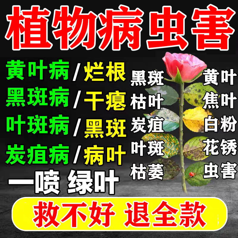 菌立清微生物杀菌剂植物通用蔬菜叶面肥农用细真菌营养液果树花肥