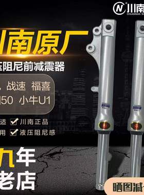 川南小龟战速小牛u1U2九号M85雅迪DE8深远009电动车前避震减震器