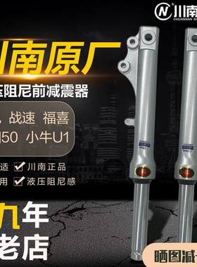 川南小龟战速小牛u1U2九号M85雅迪DE8深远009电动车前避震减震器