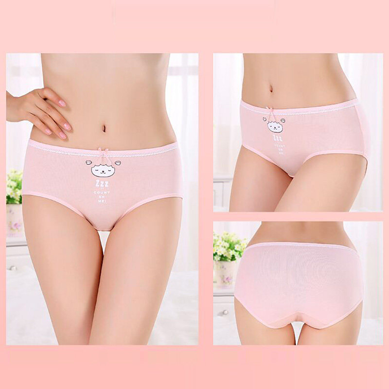 Slip jeunesse NF14252334 en coton - Ref 669032 Image 3