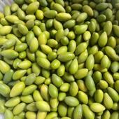 包邮 广东潮汕特产青枣脆橄榄新鲜现摘橄榄果生吃煲汤一斤装 青橄榄