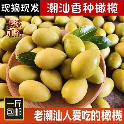 黄橄榄甘香檀香老树青果潮汕