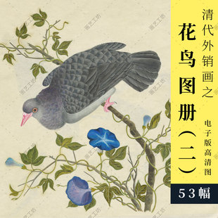 花鸟彩绘图册二清代外销画工笔国画手绘水粉水彩画彩铅博物画临摹