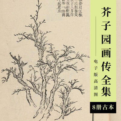 芥子园画传清康熙彩色套印本花鸟山水小品人物国画工笔临摹高清图