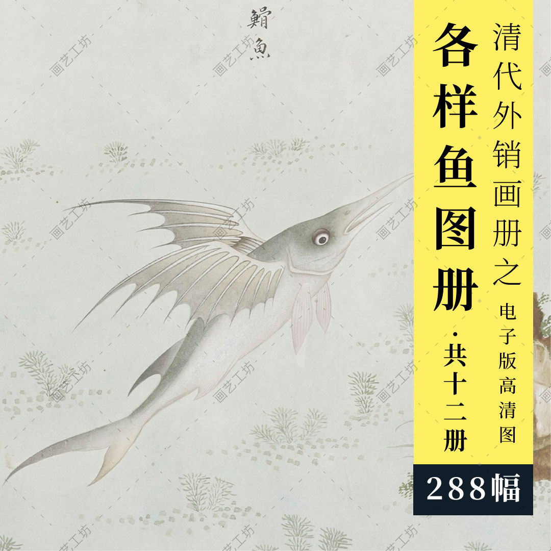 各样鱼类彩绘图册清代外销画手绘水粉水彩画彩铅博物画临摹高清图