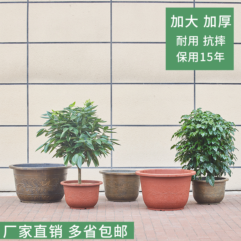 荷花盆紫砂庭院户外花盆