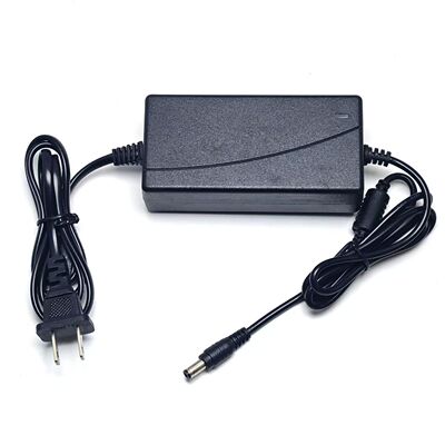 适用茵特旗光谱仪美容仪 YT-1281 美容仪器红蓝光电源适配器12V3A